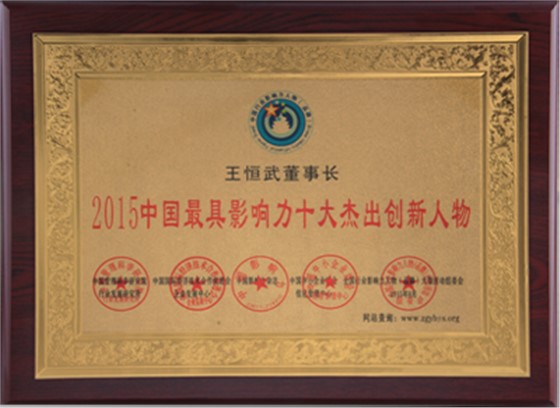 2015中國最具影響力十大杰出創(chuàng)新人物1